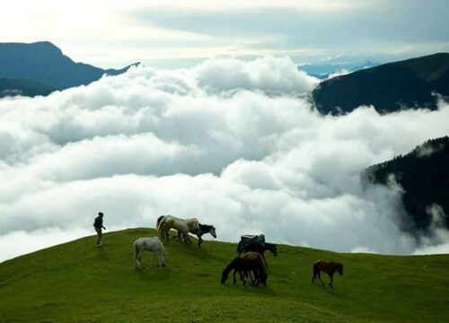 The prettiest meadows in the Himalayas(Ali Bedni Bugyal)