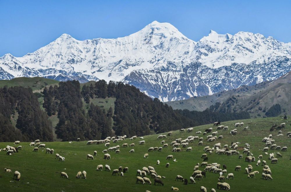 Dayara bugyal Trek