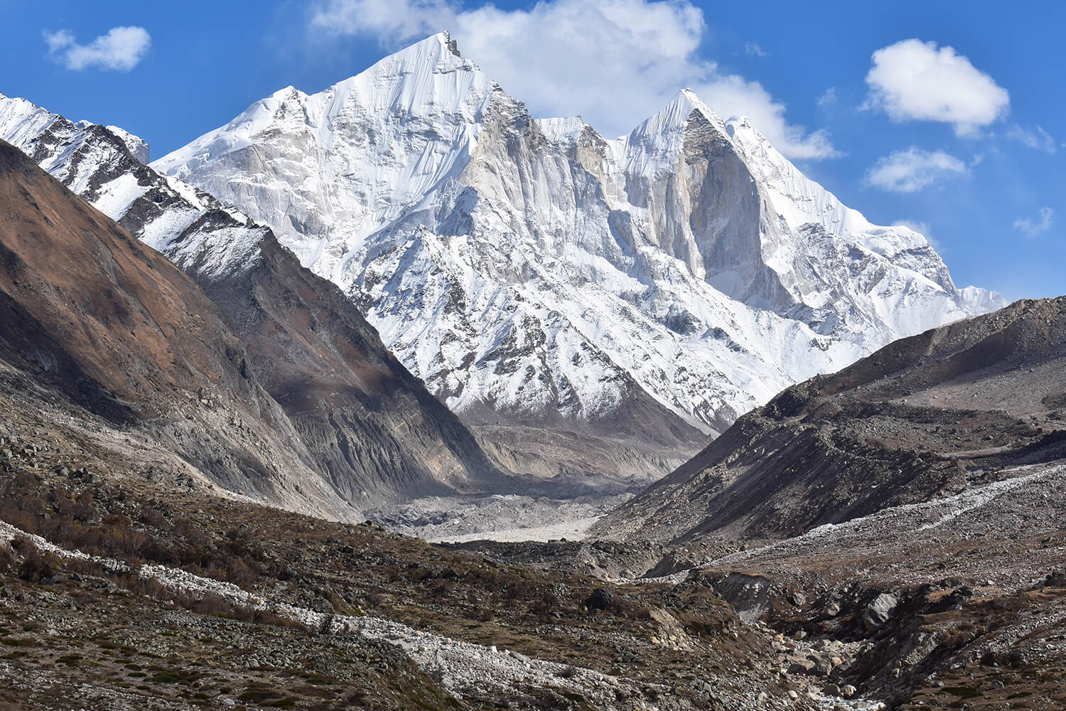 Gaumukh tapovan Trek